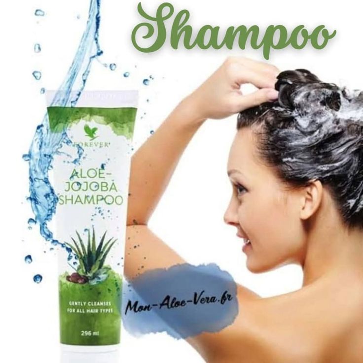 Aloe-Jojoba Shampoo